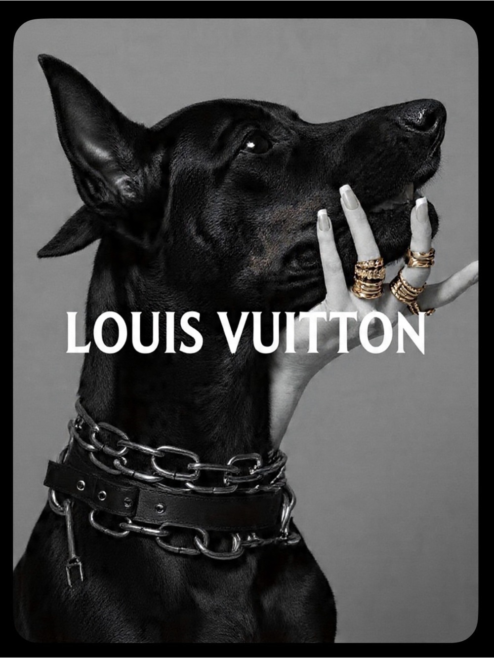 Designer Dobermans™ | Pick 5 Luxury Fashion Dog Wall Art Prints | 8x10 Chanel LV - Picture 14 of 16
